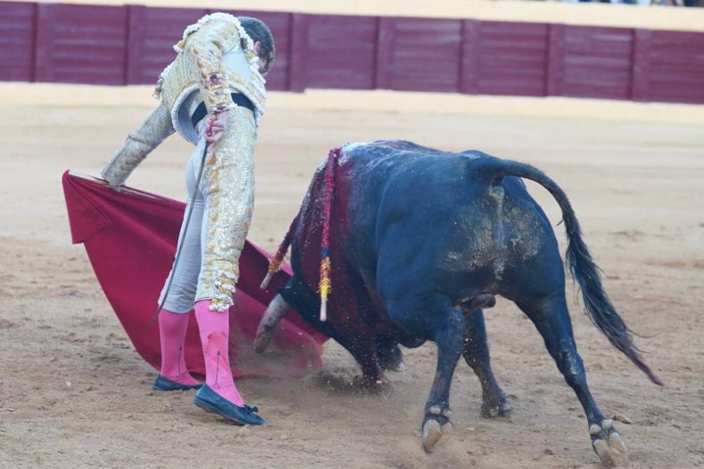 Imagen 47