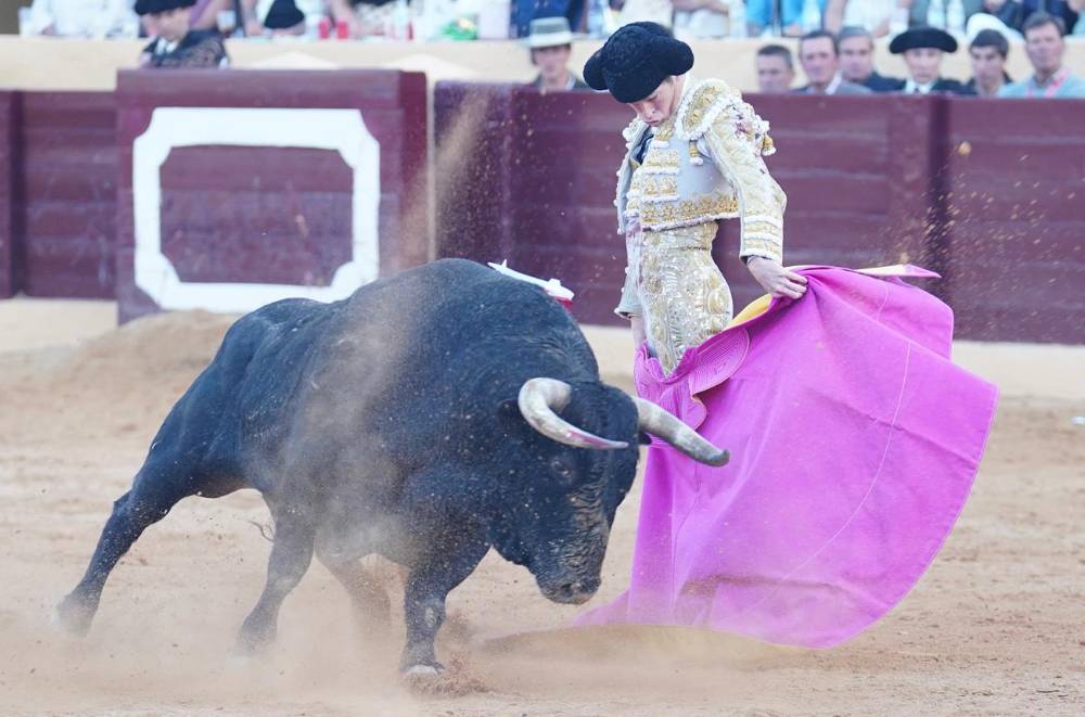 Imagen 49