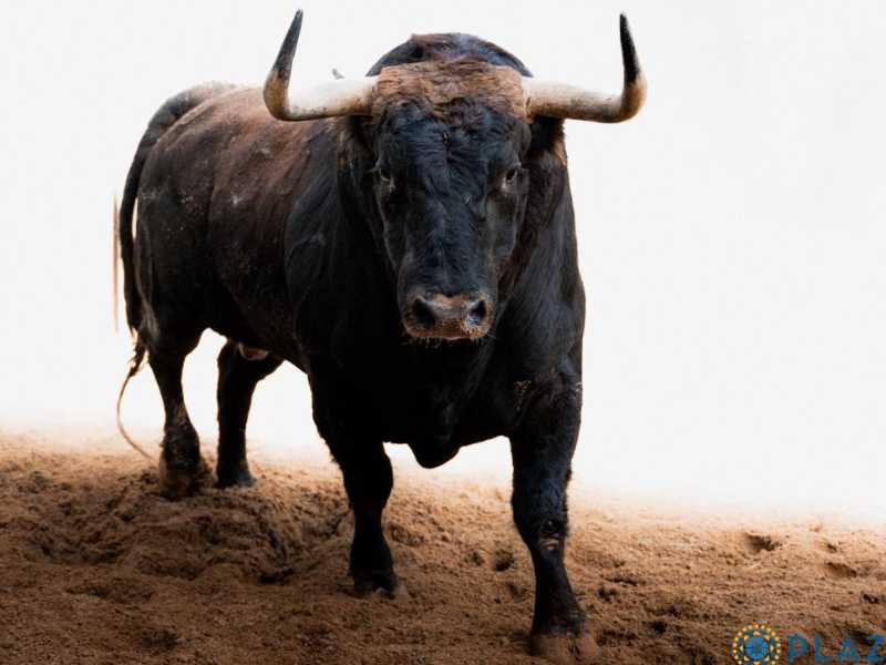 Vinazo de Fuente Ymbro abre la tarde en Madrid (Sorteo)