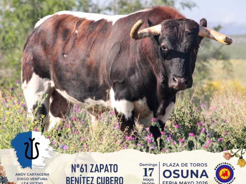 “Bueno”, de la ganadería Benítez Cubero, cerrará la tarde hoy en la Corrida de Rejones de Osuna