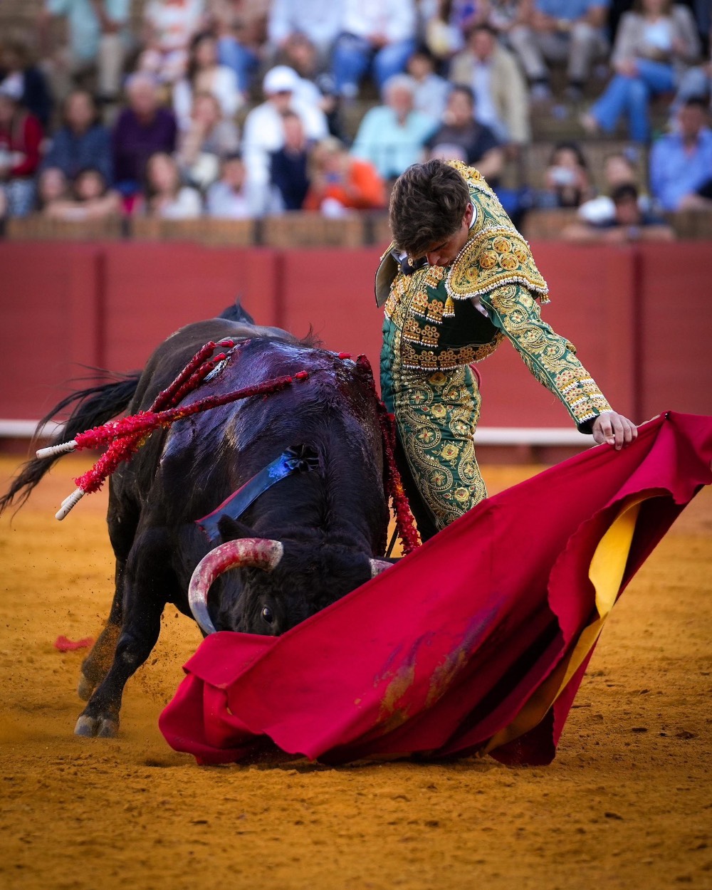 Imagen 1