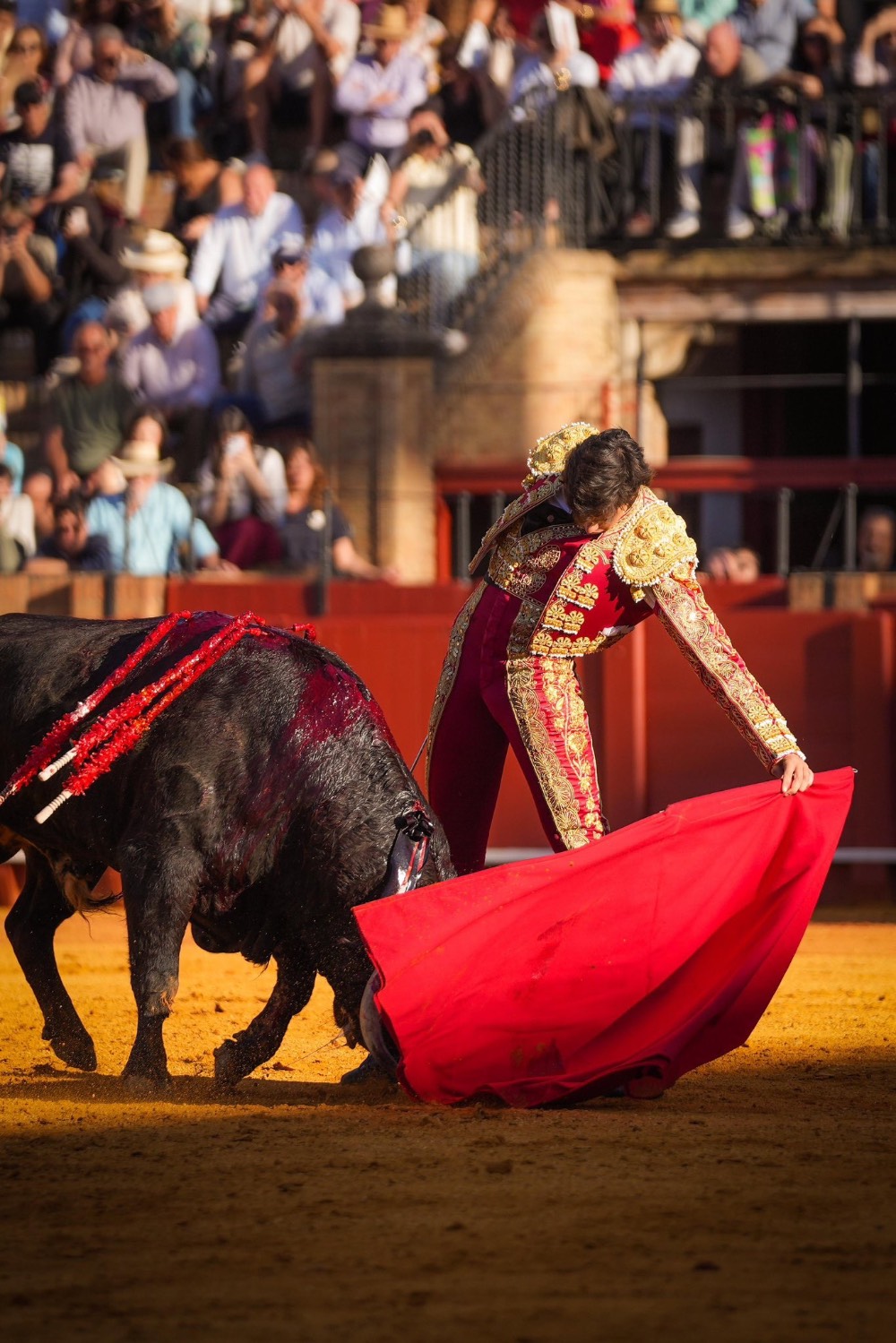 Imagen 5