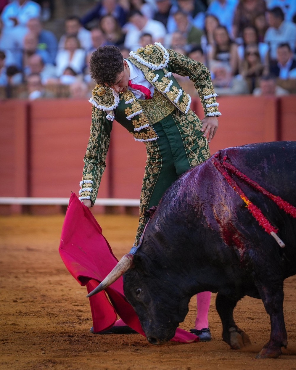 Imagen 6