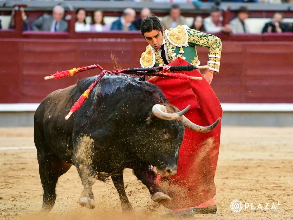 Imagen 2