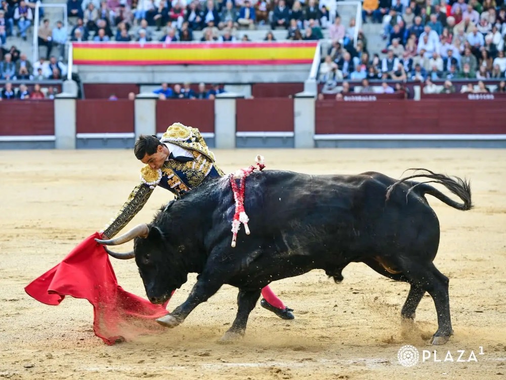 Imagen 3