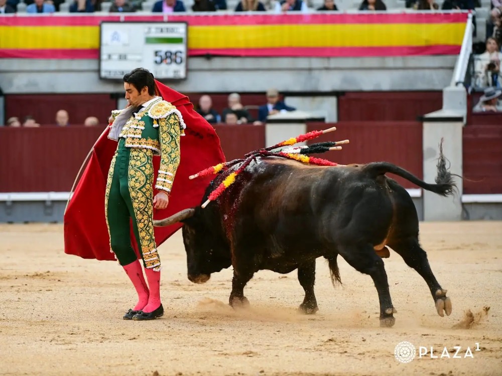 Imagen 7