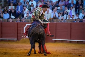 Imagen 7