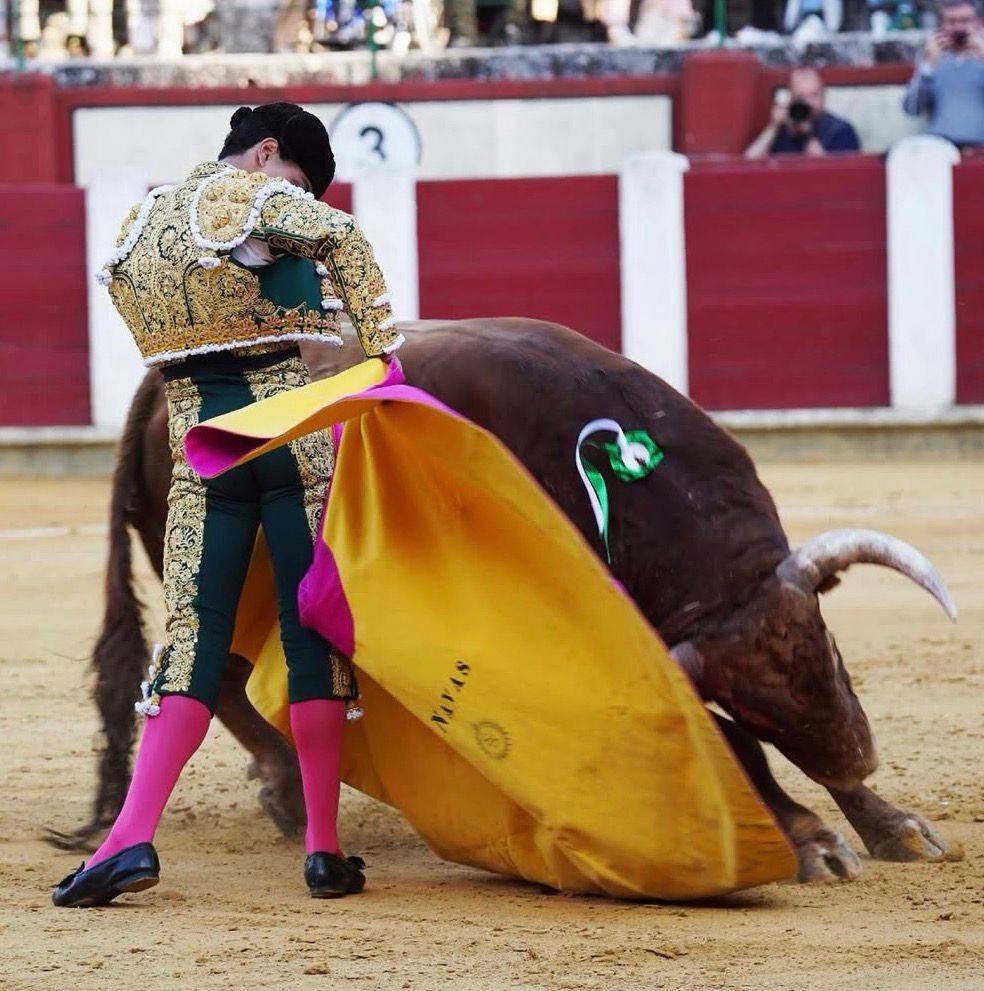 Imagen 5