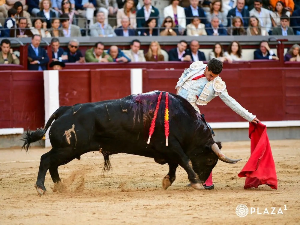 Imagen 2