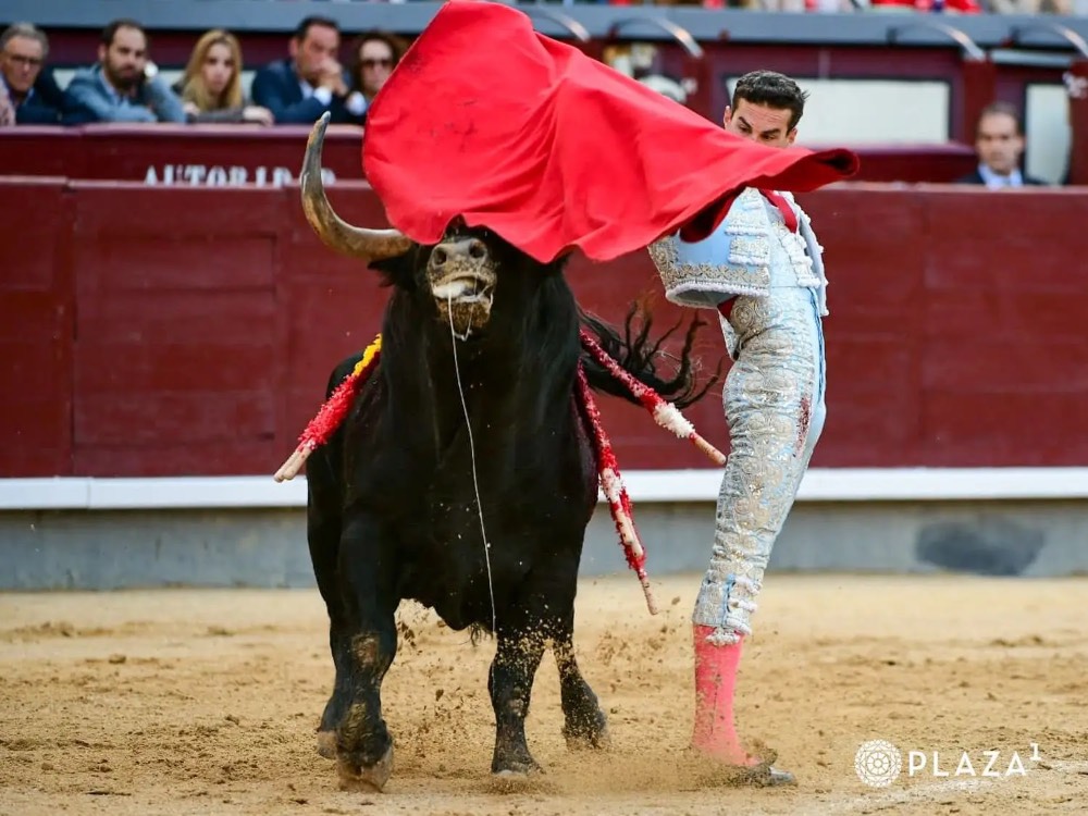 Imagen 3