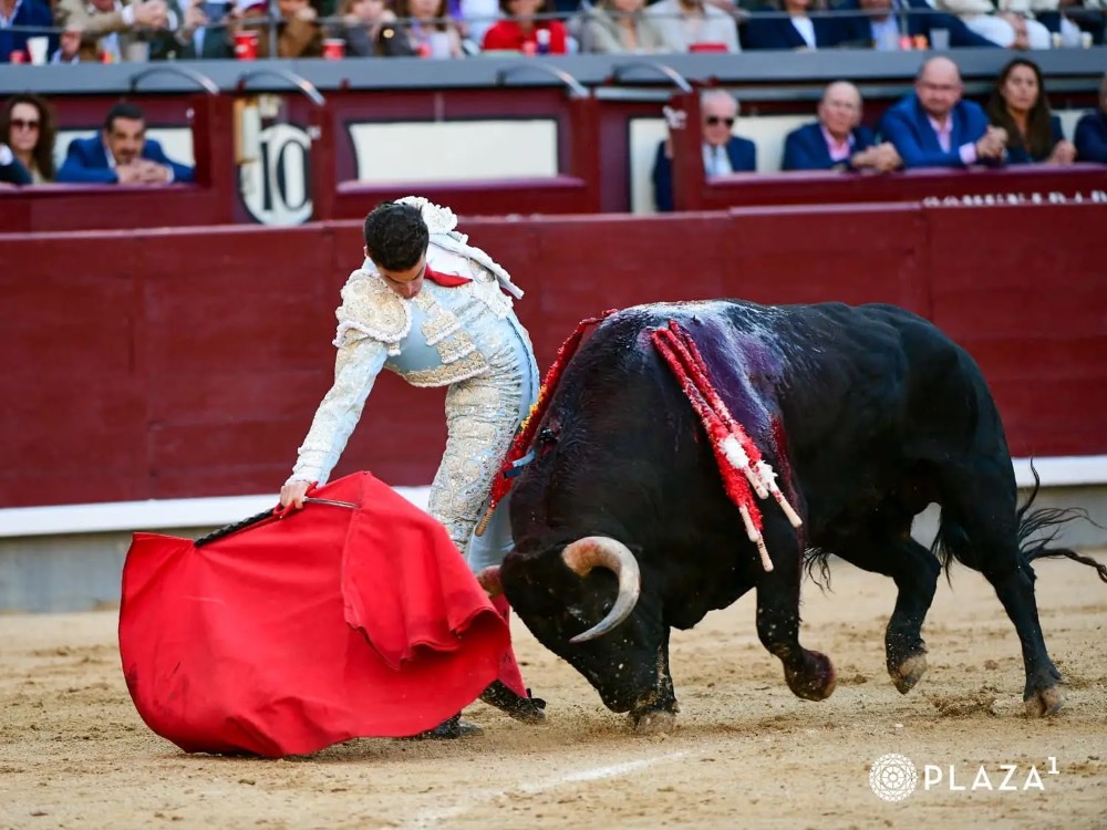 Imagen 4