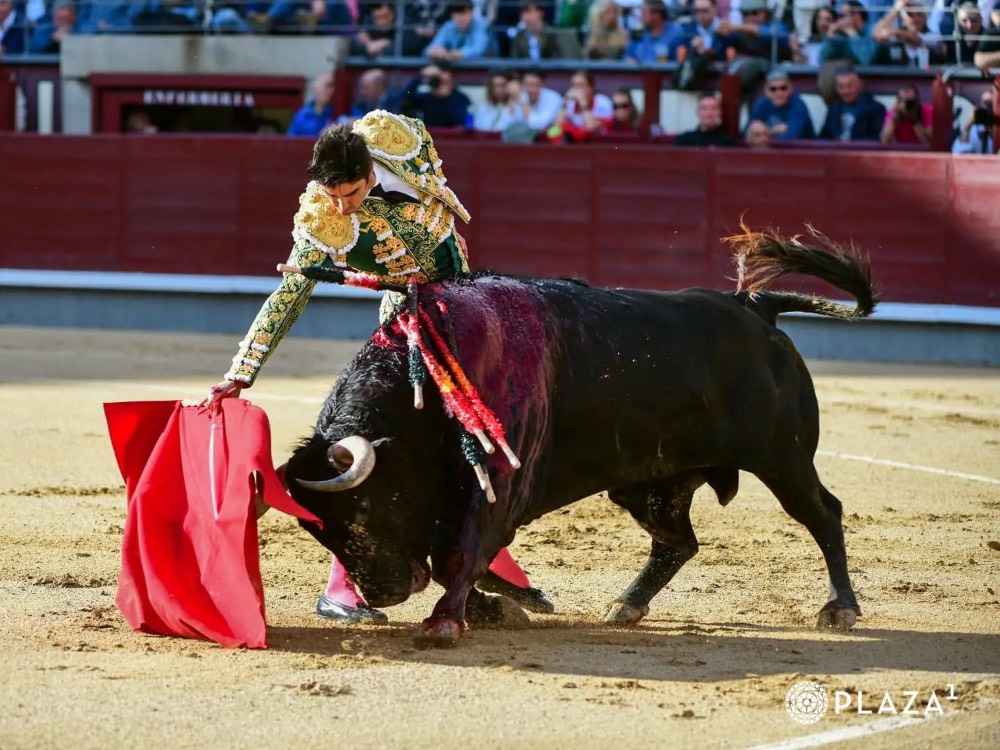 Imagen 1