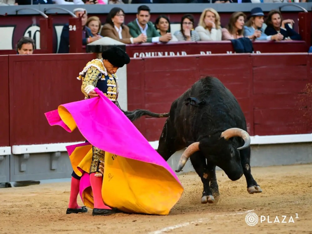 Imagen 1