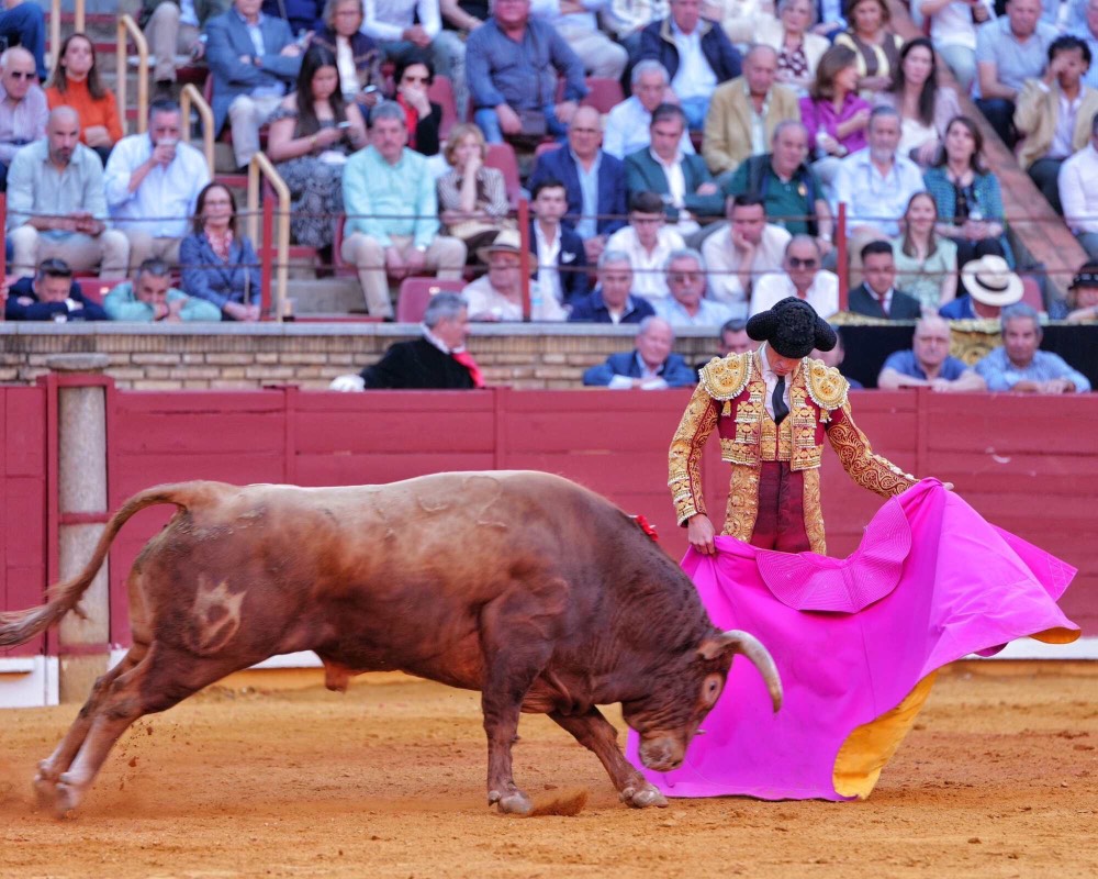Imagen 3