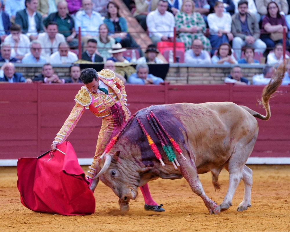 Imagen 1