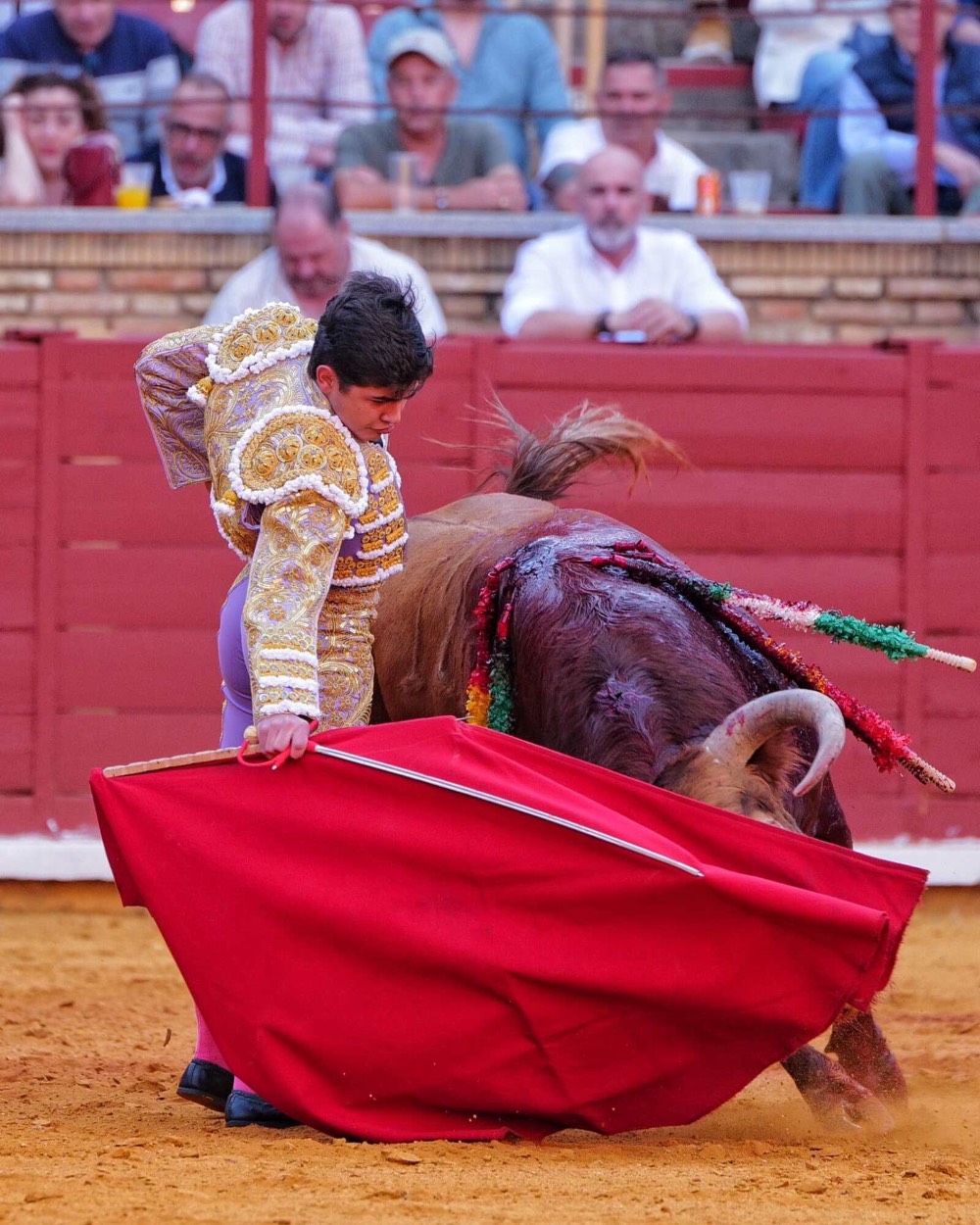 Imagen 1