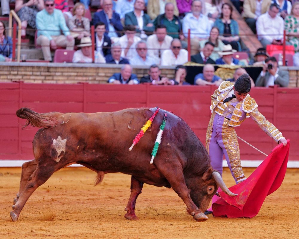 Imagen 2