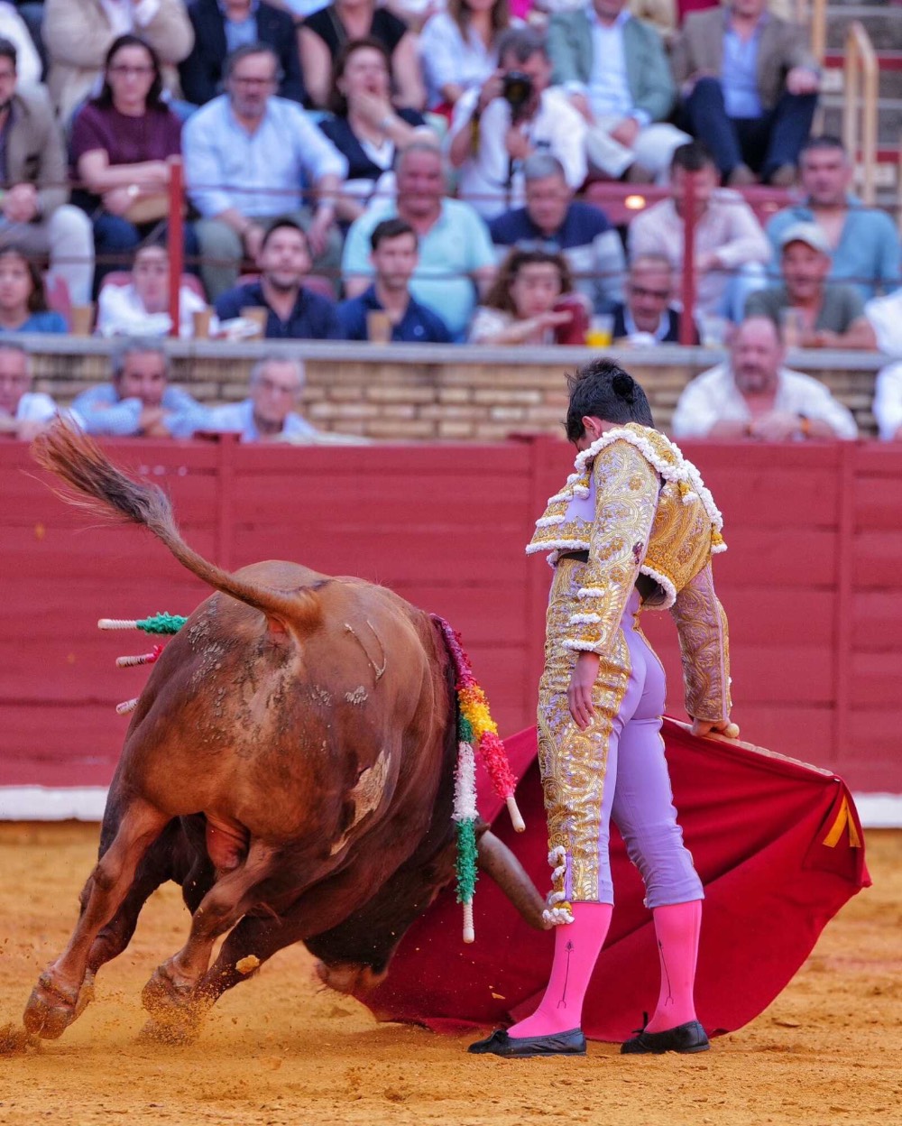 Imagen 3