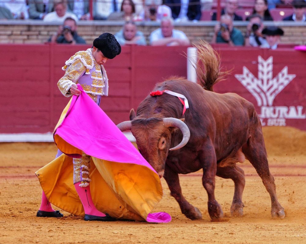 Imagen 4