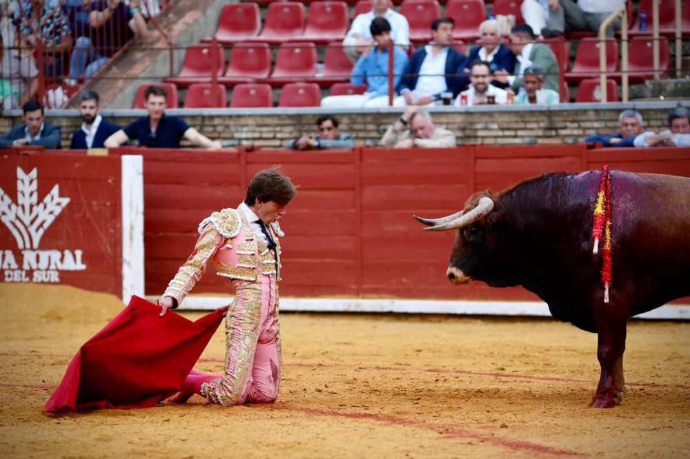 Imagen 5