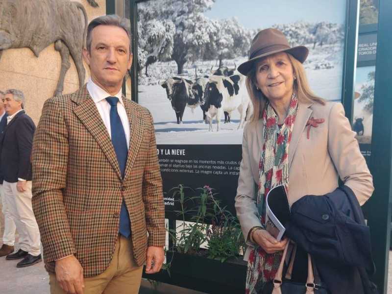 Más de 100.000 personas descubren al toro bravo en Las Ventas