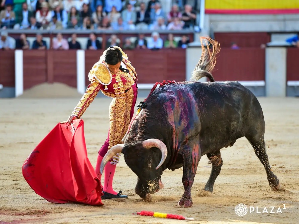 Imagen 1