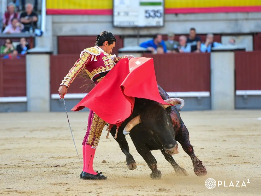 Imagen 2