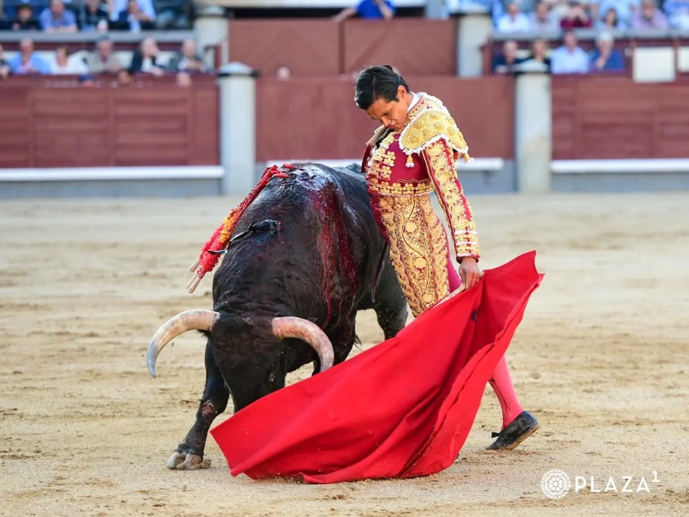 Imagen 3