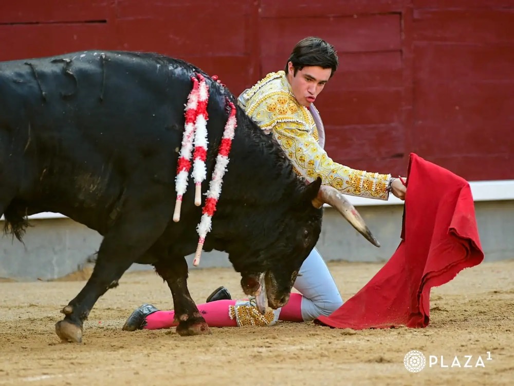 Imagen 4