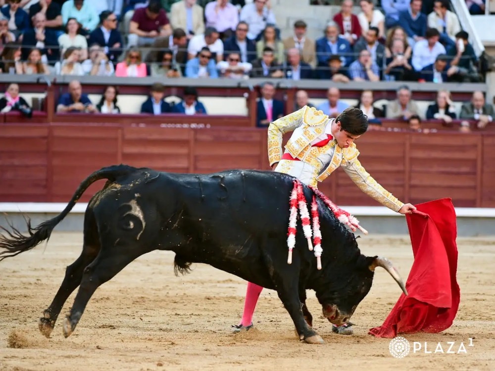 Imagen 5