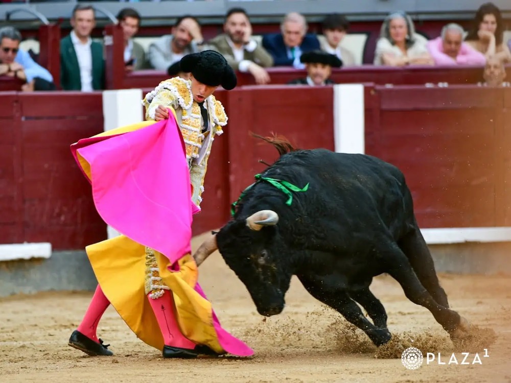 Imagen 7