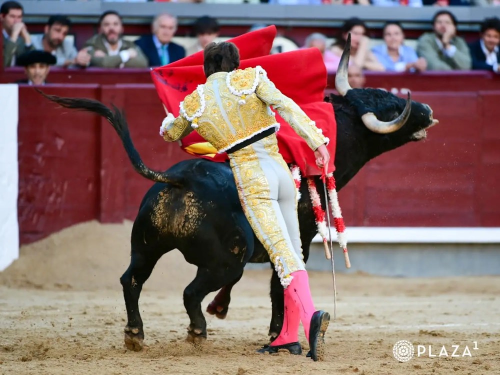 Imagen 9