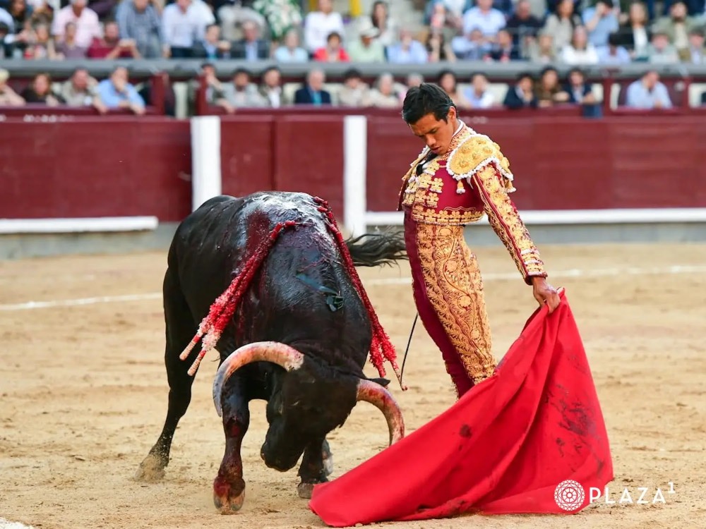 Imagen 12