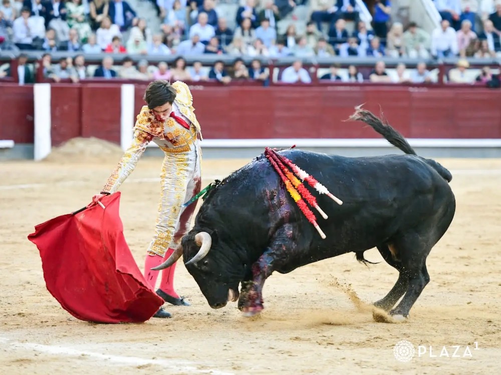 Imagen 13