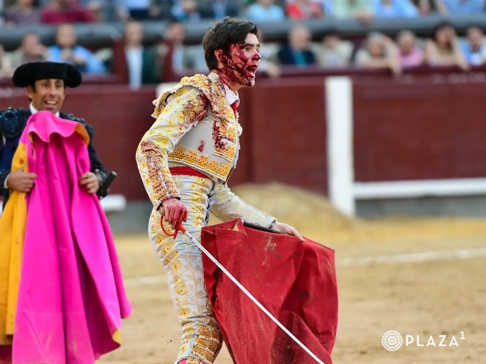 Imagen 14