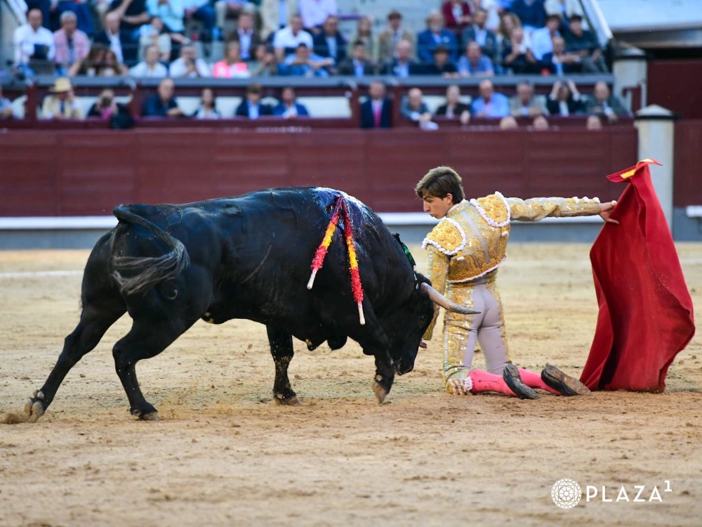 Imagen 17