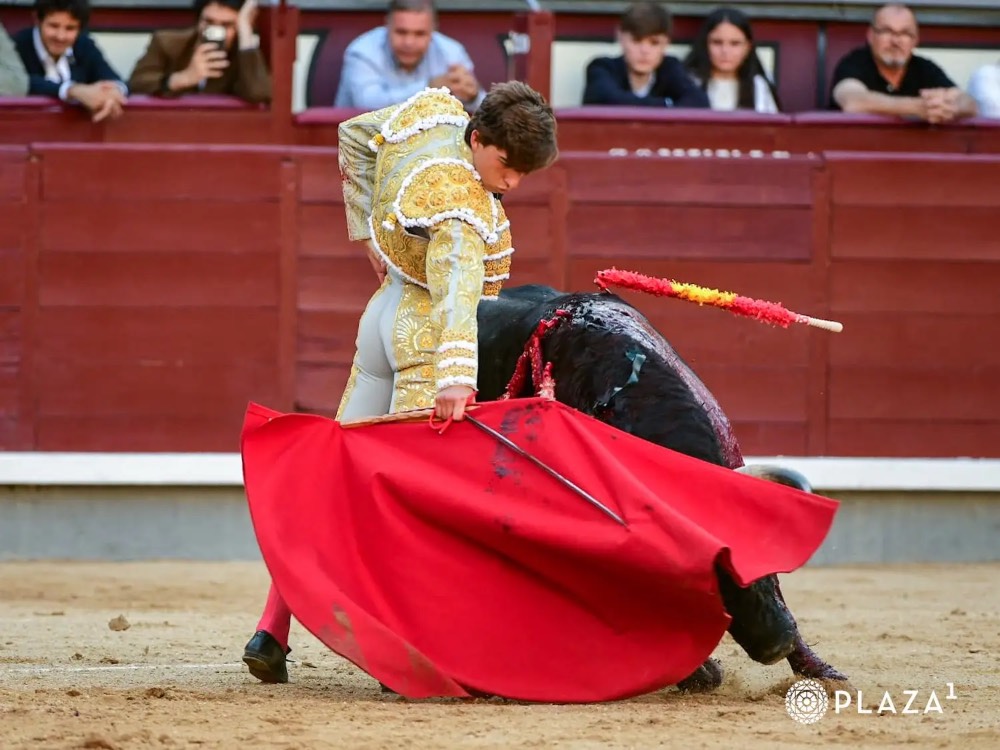 Imagen 1