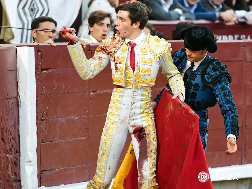 Imagen 1
