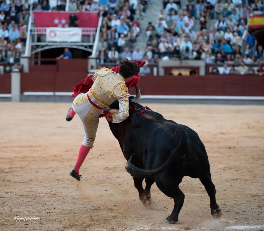 Imagen 3