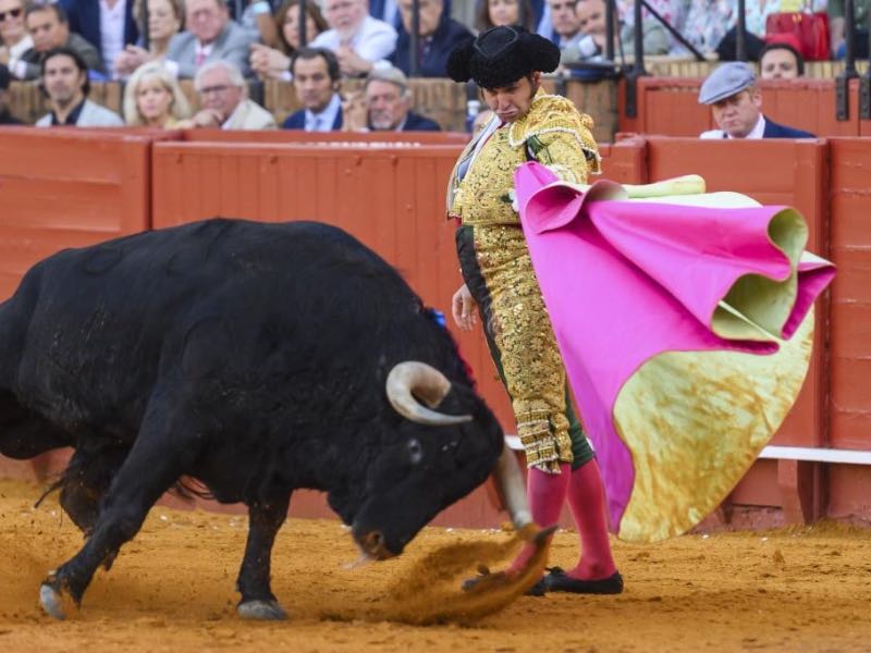 Morante de la Puebla estará presente en dos corridas de la Feria de Santander 2026