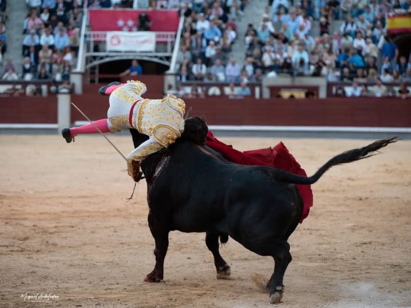 García Padrós destaca la “gran suerte” de Mario Vilau tras la grave cornada sufrida en Las Ventas