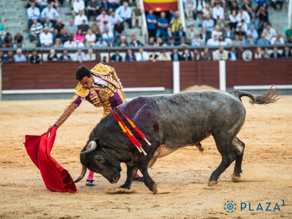 Imagen 1
