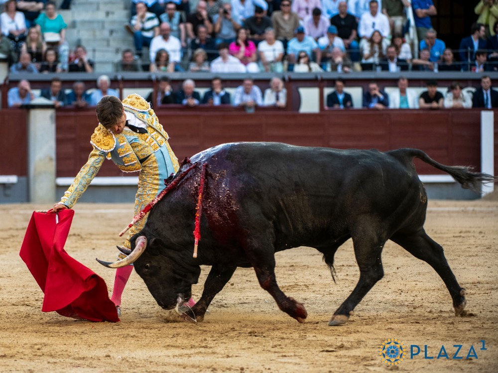 Imagen 2