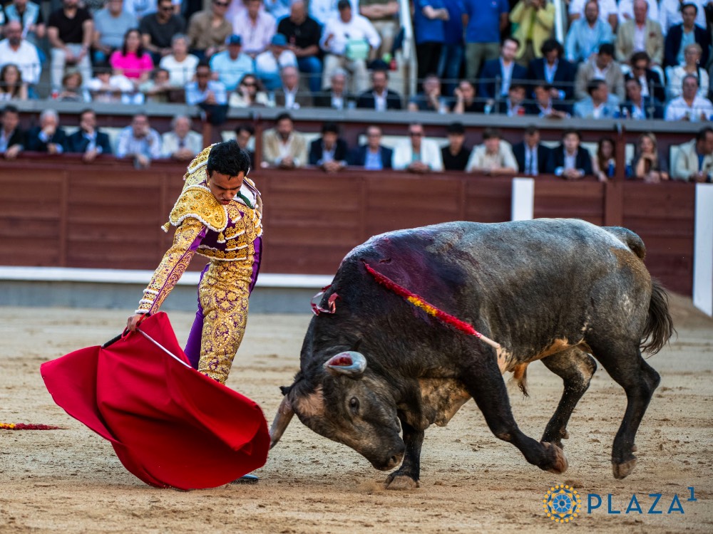 Imagen 3