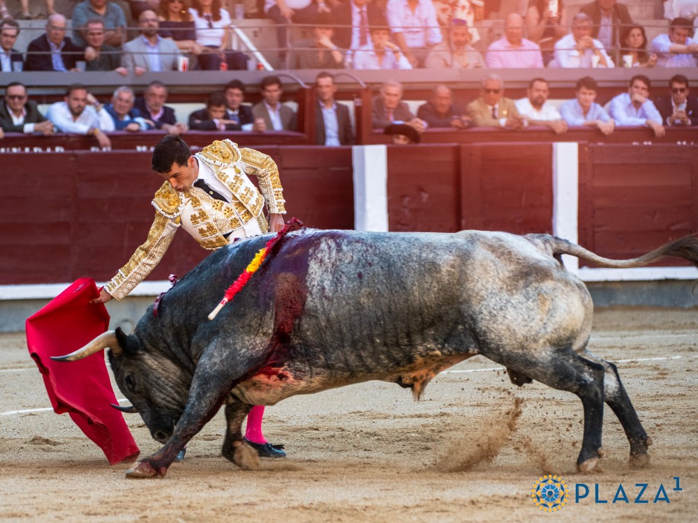 Imagen 5