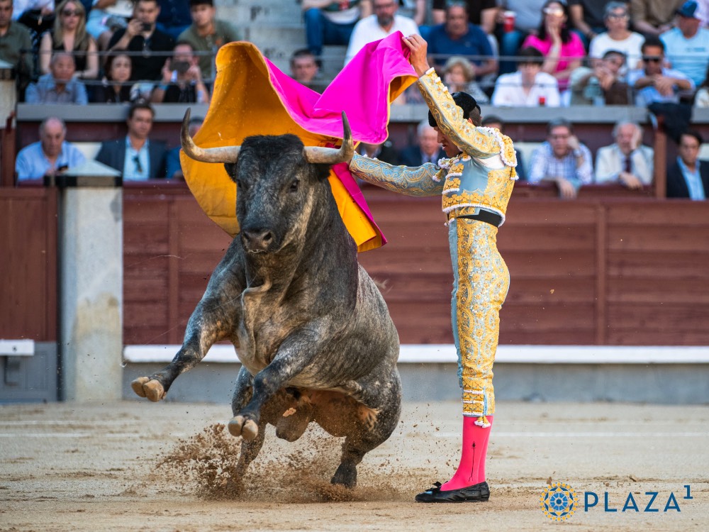 Imagen 6